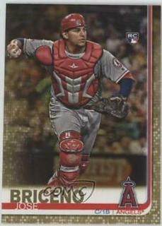 Jose Briceno