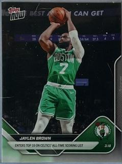 Jaylen Brown