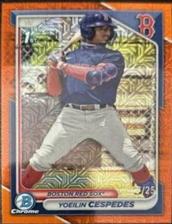 Yoeilin Cespedes