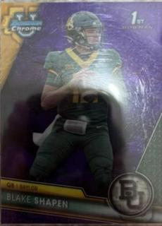 Blake Shapen