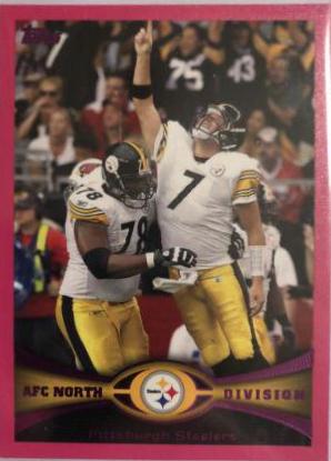 Pittsburgh Steelers [Pink] #159