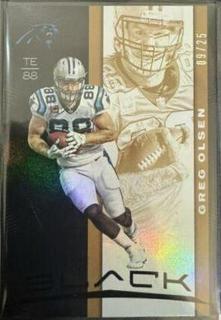 Greg Olsen