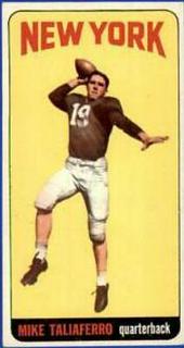 Mike Taliaferro