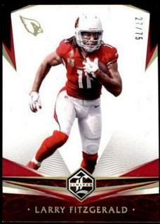 Larry Fitzgerald