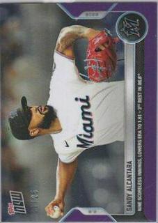 Sandy Alcantara