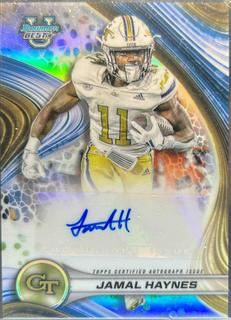 Jamal Haynes