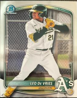 Leo De Vries