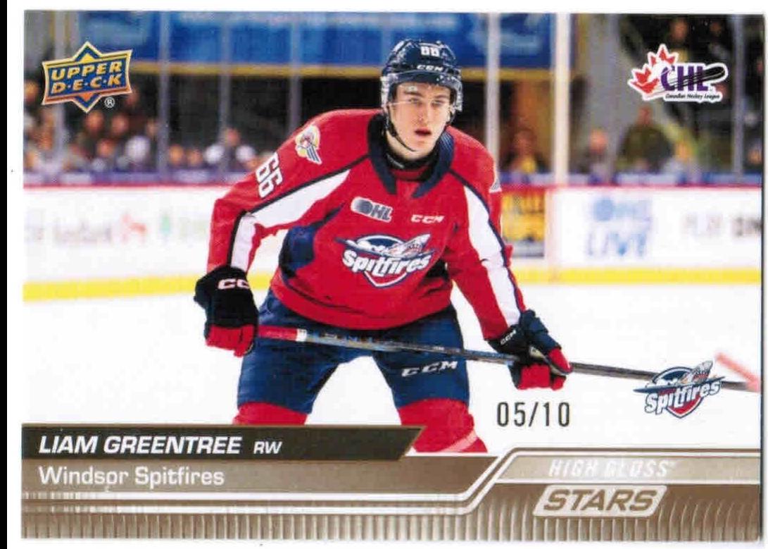 Liam Greentree [High Gloss Stars] #327
