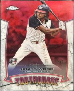 James Wood