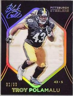 Troy Polamalu