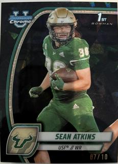 Sean Atkins