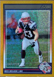 Wes Welker