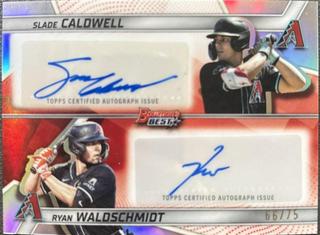 Slade Caldwell / Ryan Waldschmidt