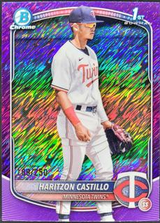 Haritzon Castillo