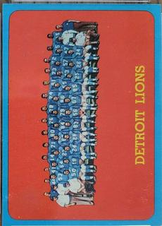 Detroit Lions Team