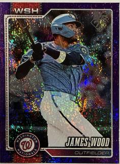 James Wood
