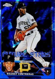 Roansy Contreras