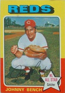 Johnny Bench