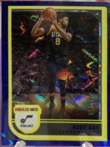 Rudy Gay