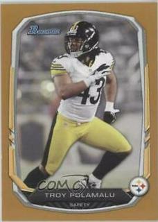 Troy Polamalu