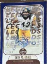 Troy Polamalu