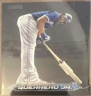 Vladimir Guerrero Jr.