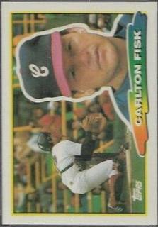 Carlton Fisk