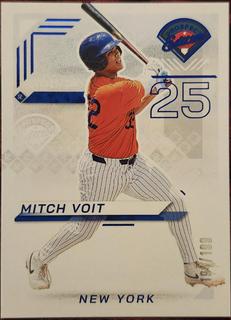 Mitch Voit