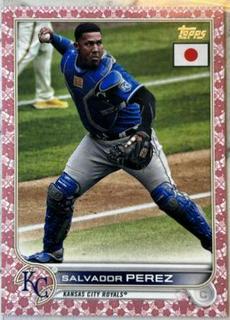 Salvador Perez