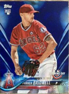 Parker Bridwell