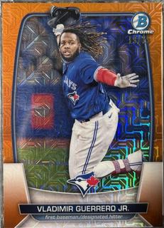 Vladimir Guerrero Jr.
