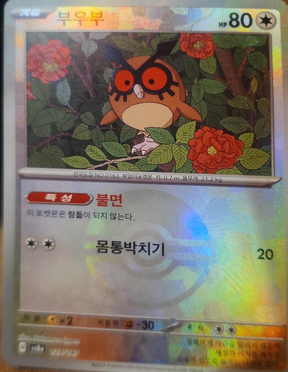 Hoothoot (Poke Ball), Terastal Festival ex card number 127