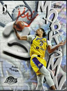 Alex Fudge