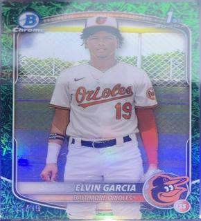Elvin Garcia