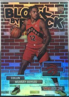 Collin Murray-Boyles