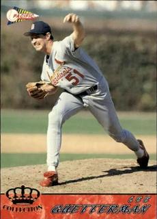 Lee Guetterman