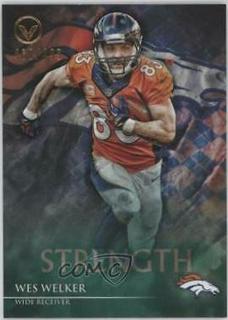 Wes Welker