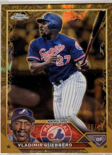 Vladimir Guerrero