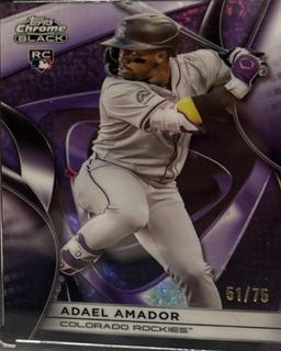 Adael Amador