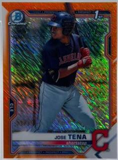 Jose Tena