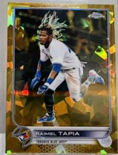 Raimel Tapia
