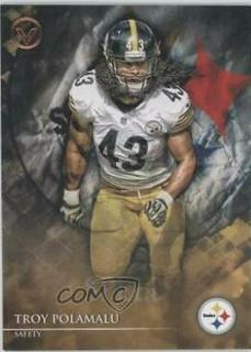 Troy Polamalu