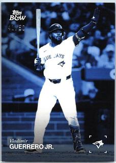 Vladimir Guerrero Jr.
