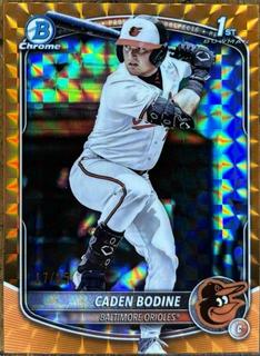 Caden Bodine