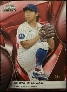 Shota Imanaga