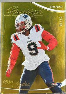 Matt Judon