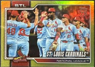 Team Card