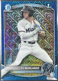 PJ Morlando