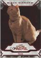 Goose [Red] | Marvel 2021 Upper Deck Black Diamond
