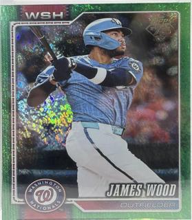James Wood